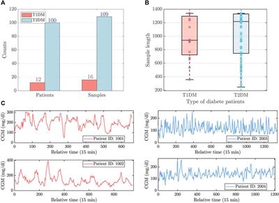 Heterogeneous temporal representation for diabetic blood glucose prediction